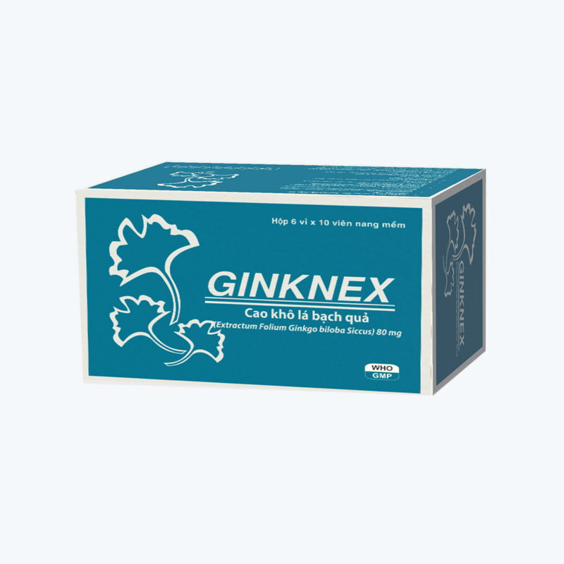GINKNEX